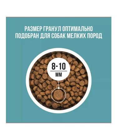 BOWL WOW Dry food for dogs with turkey and rice 800 g - Buy Online on GoSupps.com