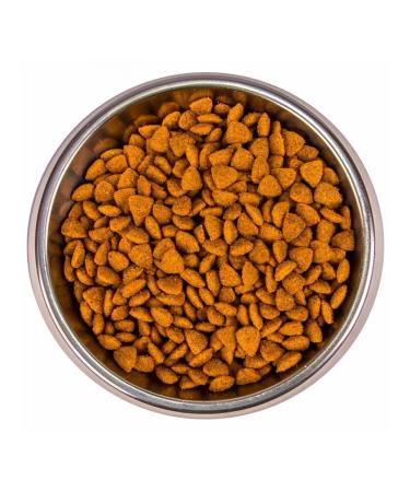 MONGE Dry food for sterilized cats with beef 1.5 kg - Buy Online on GoSupps.com