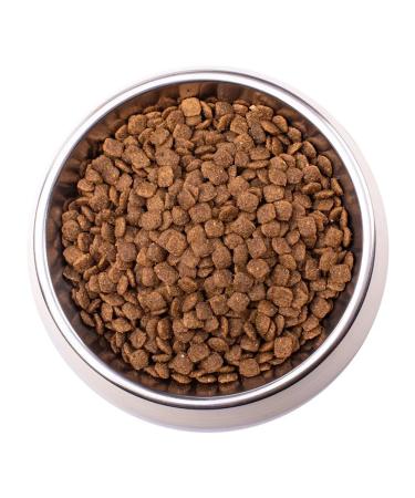 MONGE Therapeutic food for cats for liver diseases 400 g - Buy Online on GoSupps.com