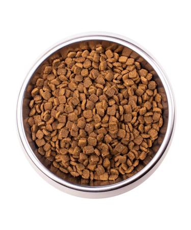 MONGE Therapeutic food for cats in skin diseases 400 g - Buy Online on GoSupps.com