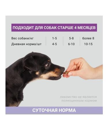 ABBA A treat with salmon for dogs 60 gr 4 pcs - Buy Online on GoSupps.com