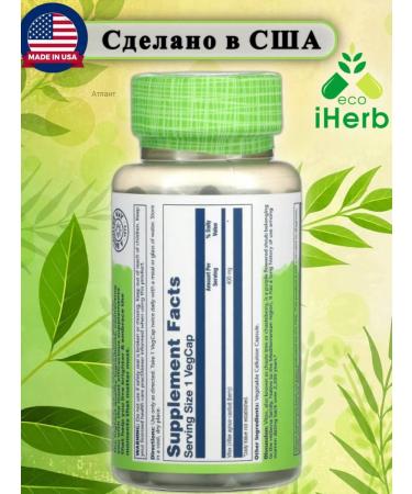 iHerb Vitex Vitex 400 mg 100 capsules - Buy Online on GoSupps.com