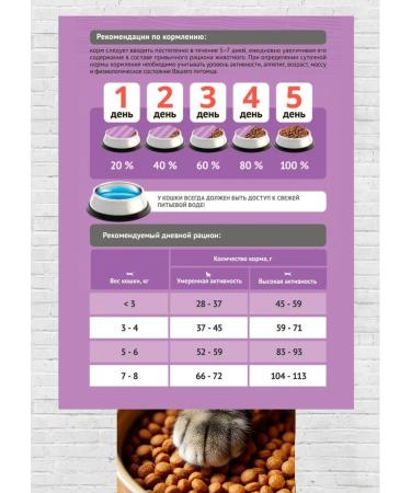 ProBalance Dry food for cats gourmet diet beef-coarse 8 kg - Buy Online on GoSupps.com