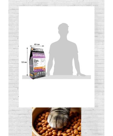 ProBalance Dry food for cats gourmet diet beef-coarse 8 kg - Buy Online on GoSupps.com