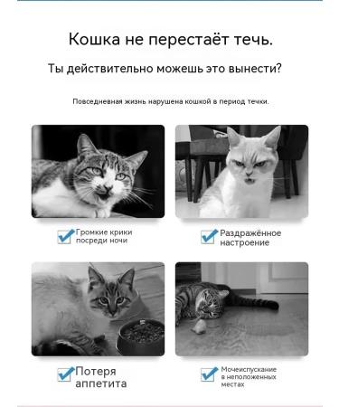 Antisex for cats 50 ml - Buy Online on GoSupps.com