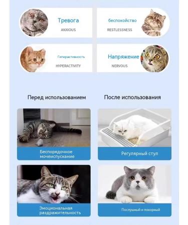 Antisex for cats 50 ml - Buy Online on GoSupps.com