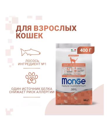 MONGE Dry food for adult cats with salmon 400 grams - Buy Online on GoSupps.com