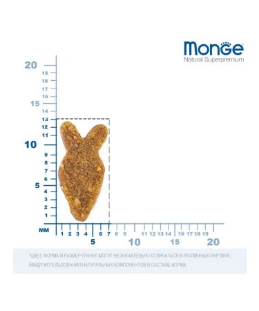 MONGE Dry food for adult cats with salmon 400 grams - Buy Online on GoSupps.com