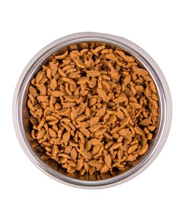 MONGE Dry food for adult cats with salmon 400 grams - Buy Online on GoSupps.com