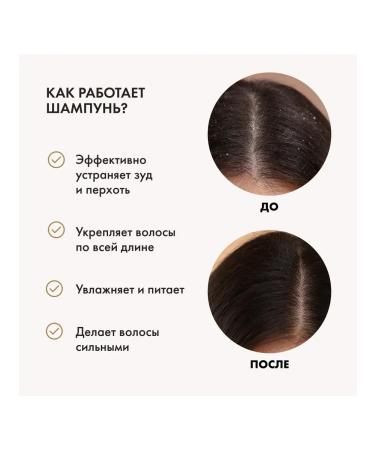 Grandma Agafia's Recipes Black hair shampoo against dandruff 350 ml - Buy Online on GoSupps.com