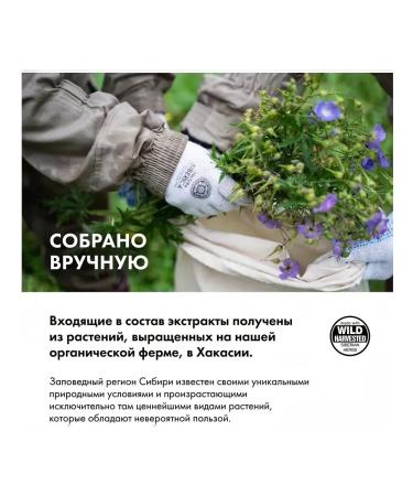 Natura Siberica Children's gel Biberika for the most favorite 250 ml - Buy Online on GoSupps.com