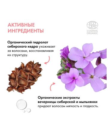 Natura Siberica Little shampoo children's light combing 250 ml - Buy Online on GoSupps.com