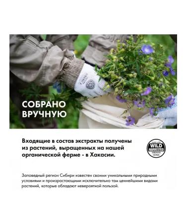 Grandma Agafia's Recipes Mitigating cream-soap white pine extract 500 ml - Buy Online on GoSupps.com