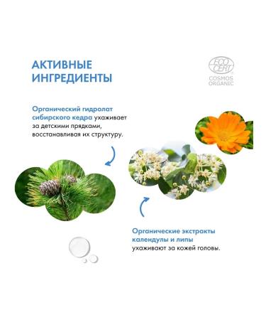 Natura Siberica Little shampoo for boys children 250 ml - Buy Online on GoSupps.com