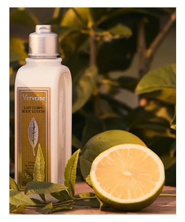 L'Occitane Moisturizer of Verben 250ml - Buy Online on GoSupps.com
