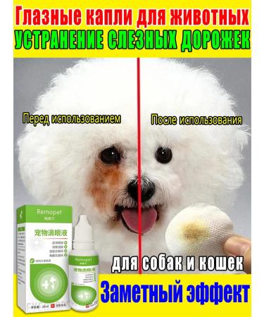 Drops for the eyes for cats and dogs from lacrimal paths