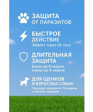 BIBA90 Drops on the withers for dogs of small breeds - Buy Online on GoSupps.com