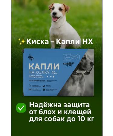 BIBA90 Drops on the withers for dogs of small breeds - Buy Online on GoSupps.com