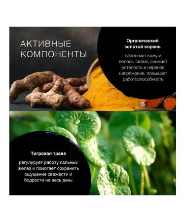 Natura Siberica Hair shampoo beards and bodies male 200 ml - Buy Online on GoSupps.com