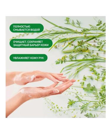 SanFito Liquid soap Power of Herbs Meadow Grasses Cleansing 1 L - Buy Online on GoSupps.com