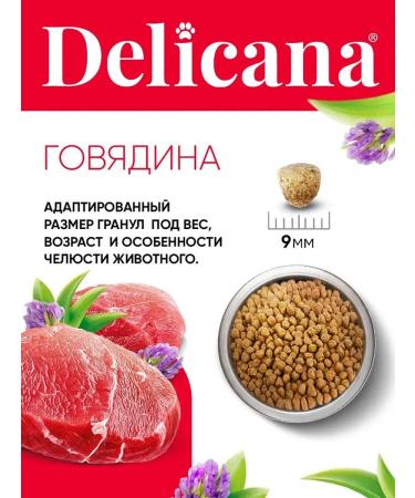 Delicana Dry food for dogs for small breeds beef 1.5 kg - Buy Online on GoSupps.com