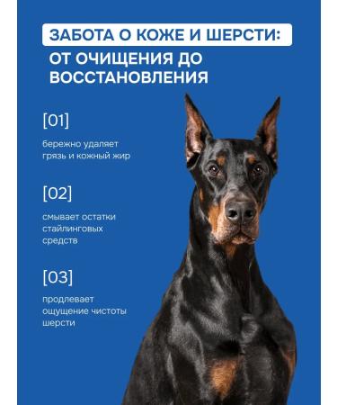 Spets Shampoo for dogs and deep cleaning cats 400 ml - Buy Online on GoSupps.com