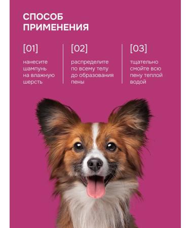 Spets Shampoo for dogs and cats expressly 400 ml - Buy Online on GoSupps.com