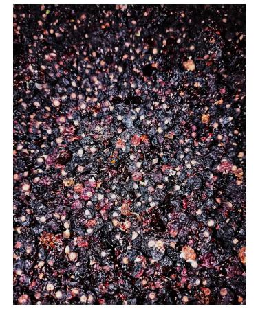 Black currants dried berries without sugar - Buy Online on GoSupps.com