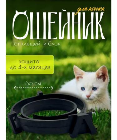 Dream market trends Antiplassic anti -block collapse