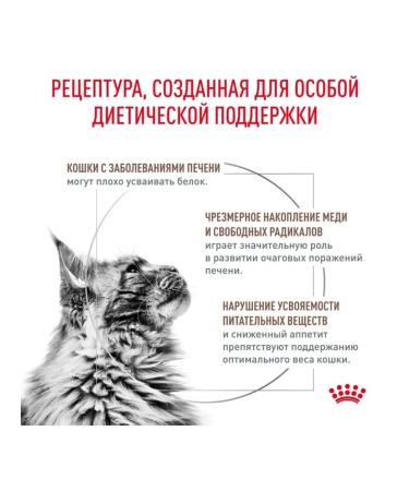 ROYAL CANIN Dry diet feed for cats Hepatic 350 g - Buy Online on GoSupps.com