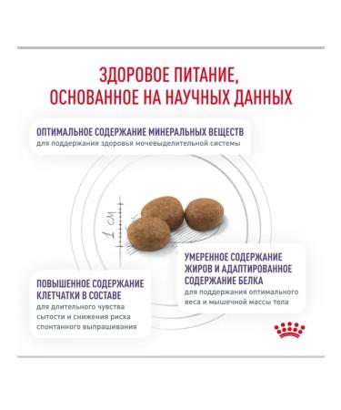 ROYAL CANIN Sterilized cats Neuthed Satiety Balance 300g - Buy Online on GoSupps.com