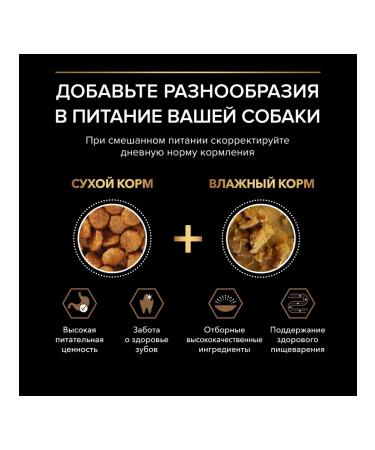 PRO PLAN Dry food for adult dogs with beef 700 g - Buy Online on GoSupps.com