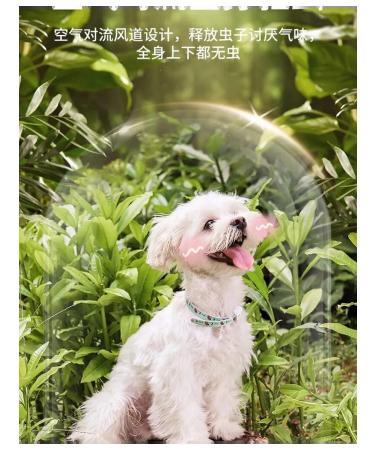 Cat collar large green protection against mosquitoes - Buy Online on GoSupps.com