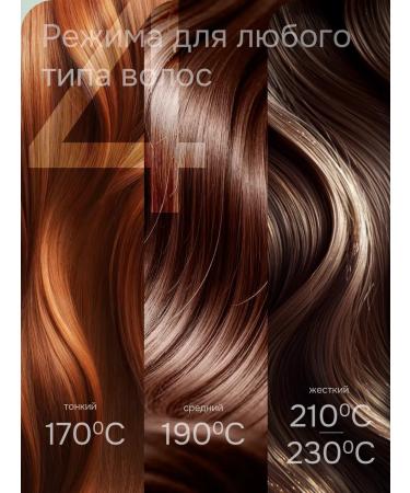 KING professional The carrier is wave - Buy Online on GoSupps.com