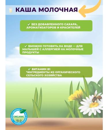 Hipp Milk porridge "Good night" oatmeal with apples organic 250g for babies aged 6 months and up - Buy Online on GoSupps.com