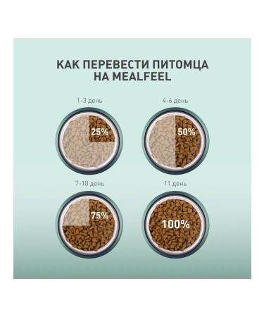 Mealfeel Grain-Free Dry Food for Adult Cats with Lamb 400g - Buy Online on GoSupps.com