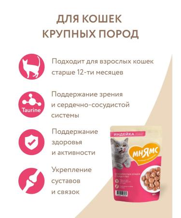 Mnyams Wet feed for elderly cats 7+ turkey in sauce 85 g 24 pcs - Buy Online on GoSupps.com