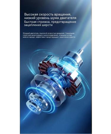 Four-in-one trimmer - Buy Online on GoSupps.com