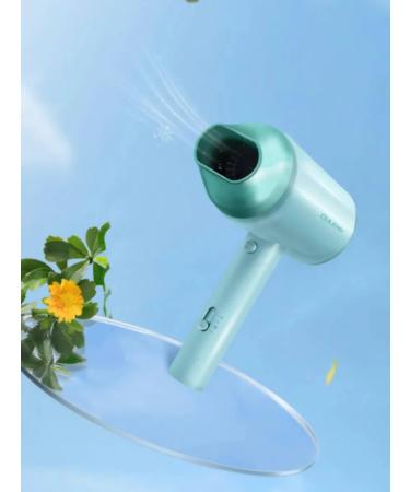OULEMEI Hair hair dryer Professional Powerful Women's - Buy Online on GoSupps.com