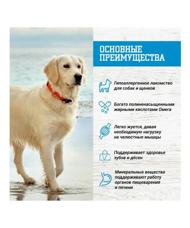 REWARD Treat leather cod for dogs 40 g 3 pcs - Buy Online on GoSupps.com