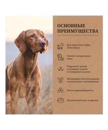 REWARD Delicacy trachea of lamb for dogs 50 g 3 pcs - Buy Online on GoSupps.com