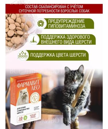 Farmavit NEO Vitamins for cats for wool from molting - Buy Online on GoSupps.com