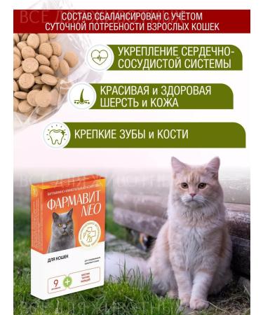 Farmavit NEO Vitamins for cats for wool and teeth - Buy Online on GoSupps.com