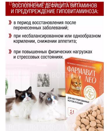 Farmavit NEO Vitamins for castrated cats and cats - Buy Online on GoSupps.com