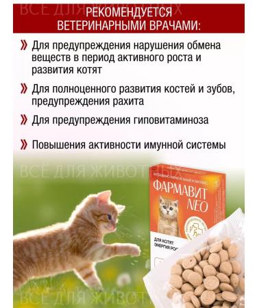 Farmavit NEO Vitamins for kittens for joints and teeth - Buy Online on GoSupps.com