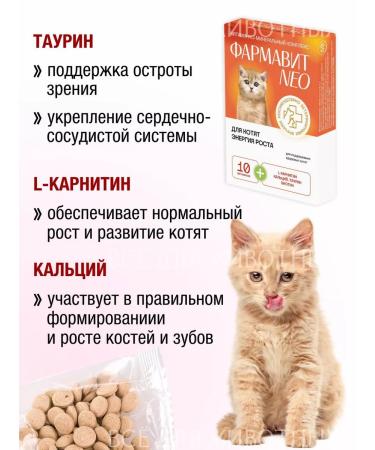 Farmavit NEO Vitamins for kittens for joints and teeth - Buy Online on GoSupps.com