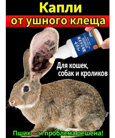 xie de yuan Drops from the ear tick for cats and rabbits