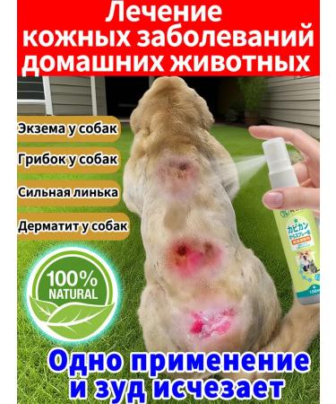 Spray against allergies and itching for dogs 100 ml