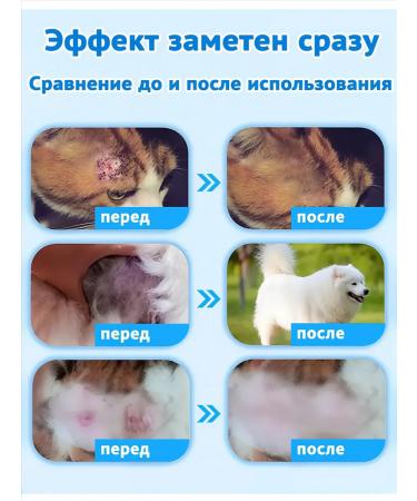 Spray against allergies and itching for dogs 100 ml - Buy Online on GoSupps.com