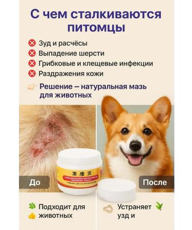 MSK92 Pets ointment from fungus and ticks 30 g